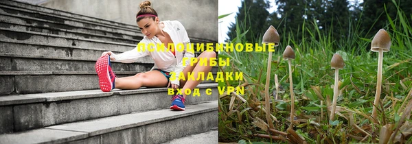 кристаллы Бородино