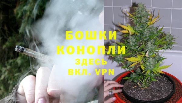 твердый Бронницы