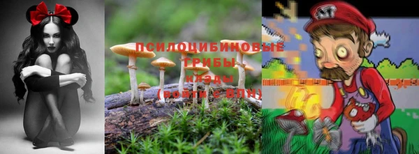 кристаллы Бородино