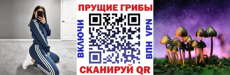 Купить закладки  Лихославль  Псилоцибиновые грибы Psilocybe 